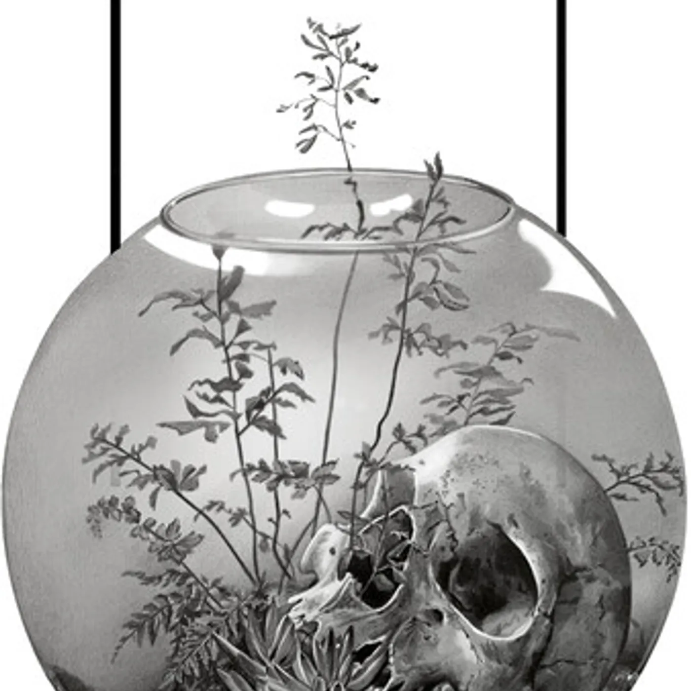 Nebula Drag WESTERN DEATH CD