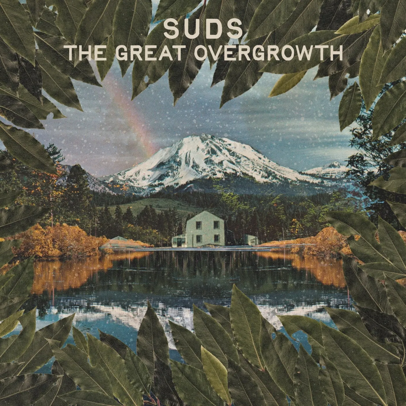 SUDS GREAT OVERGROWTH Vinyl Record