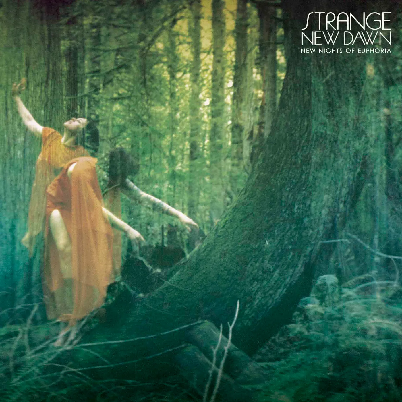Strange New Dawn NEW NIGHTS OF EUPHORIA Vinyl Record
