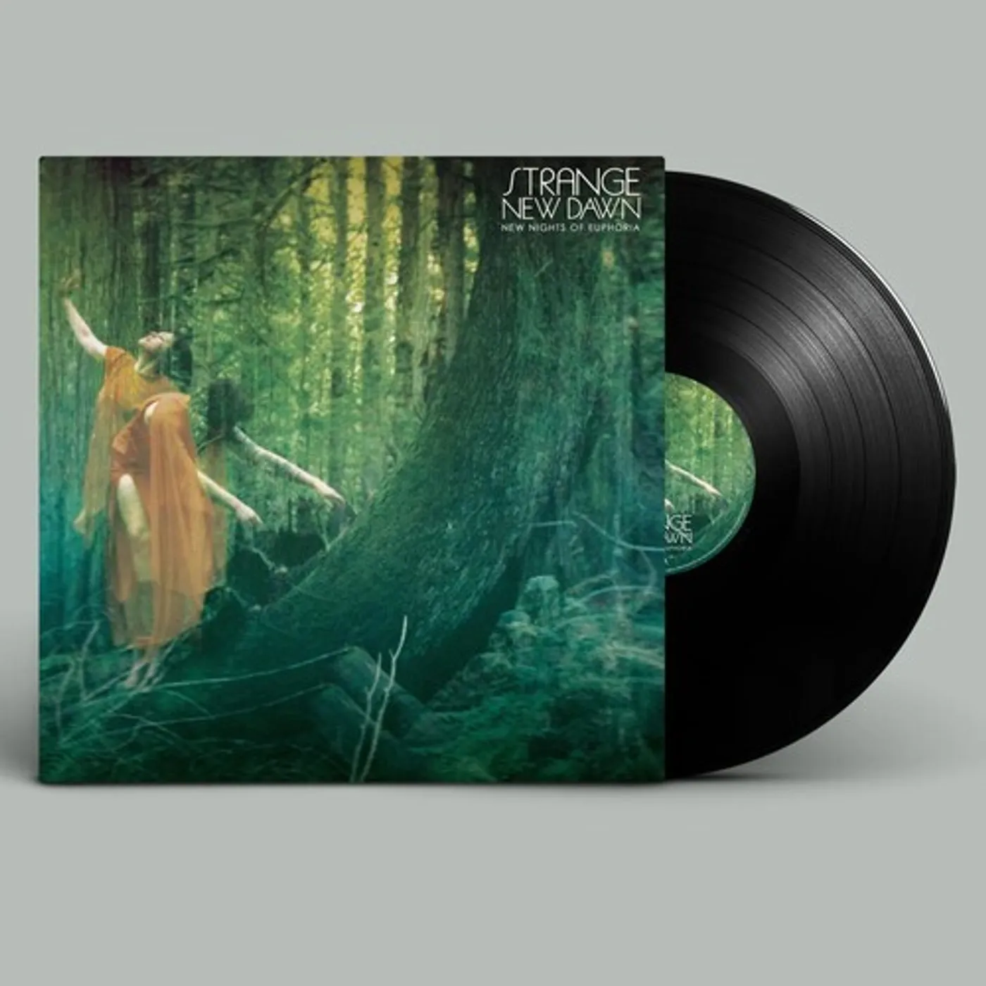 Strange New Dawn NEW NIGHTS OF EUPHORIA Vinyl Record