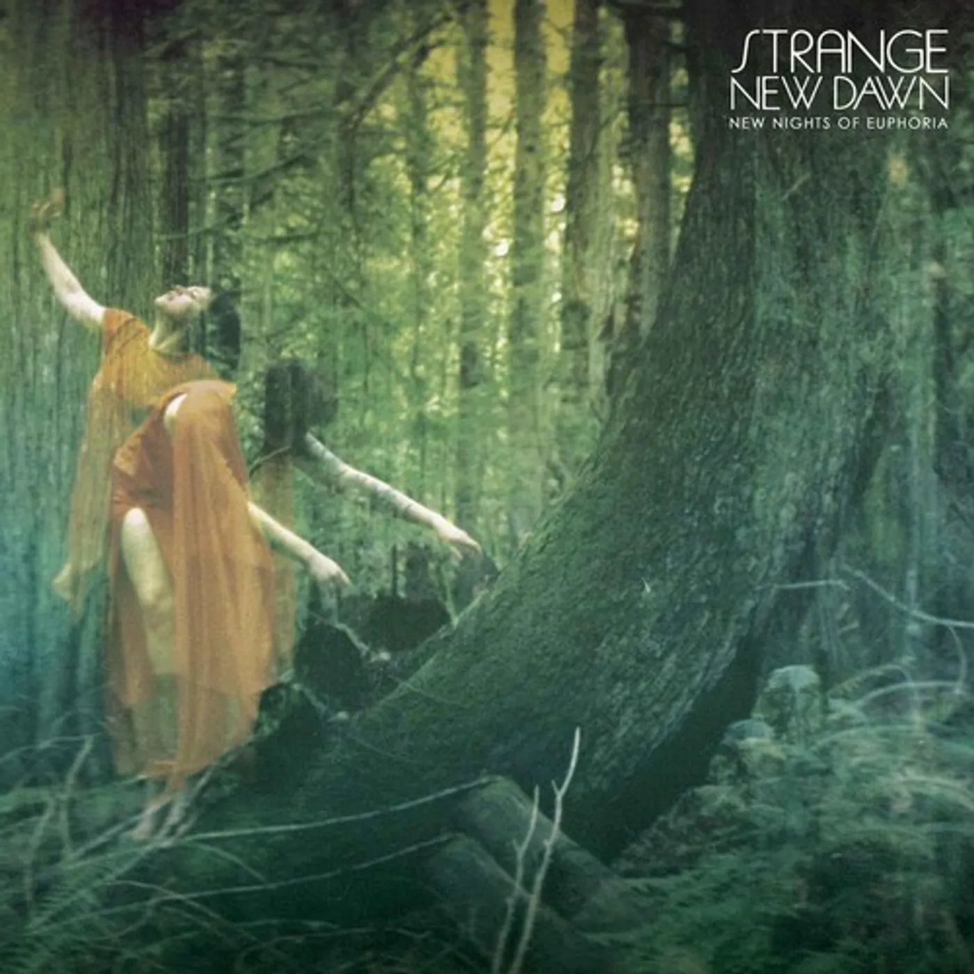 Strange New Dawn NEW NIGHTS OF EUPHORIA CD