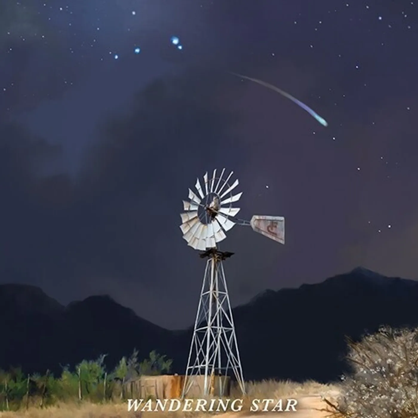 Flatland Cavalry WANDERING STAR CD