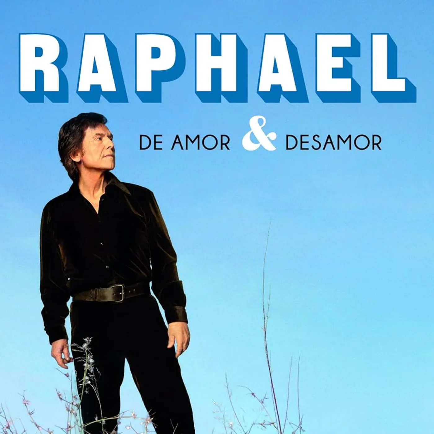 Raphaël DE AMOR Y DESAMOR Vinyl Record