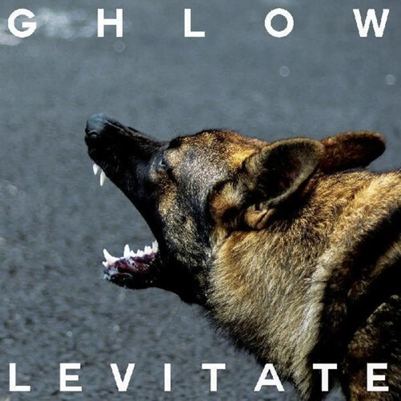 GHLOW LEVITATE Vinyl Record