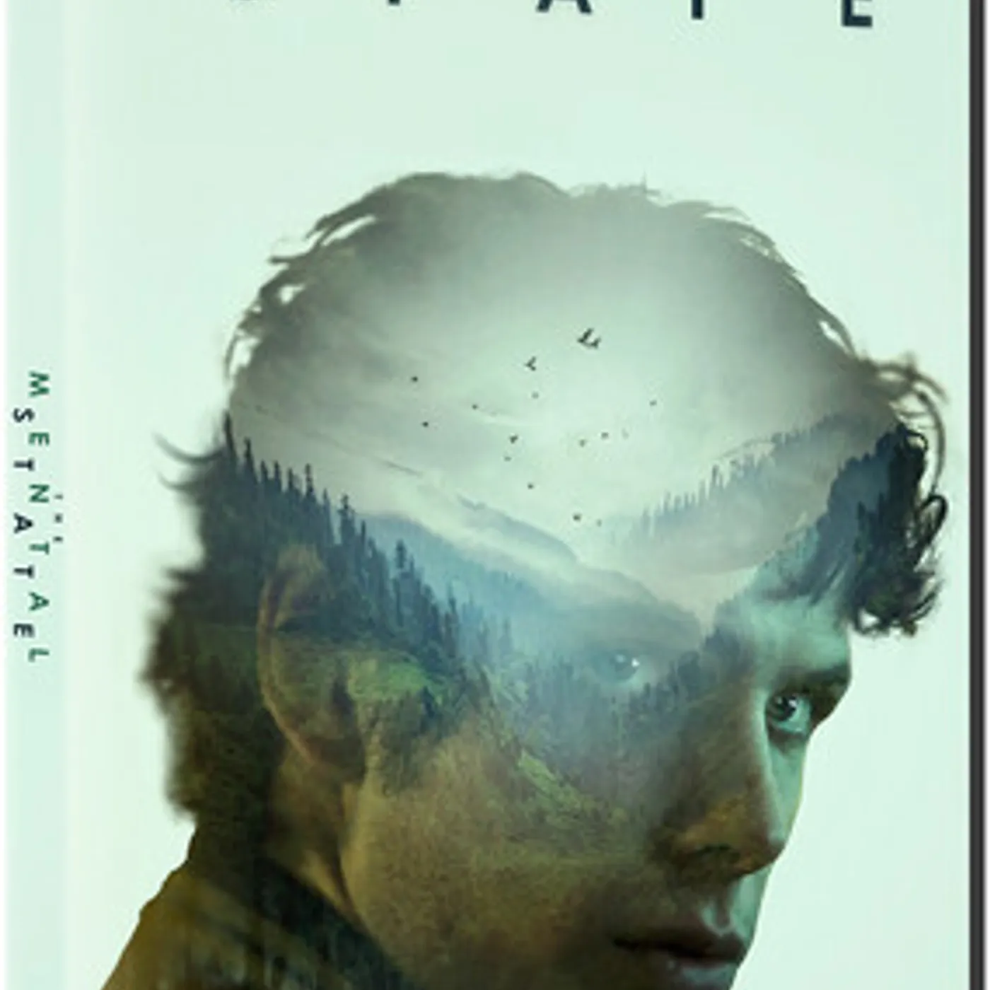 MENTAL STATE DVD