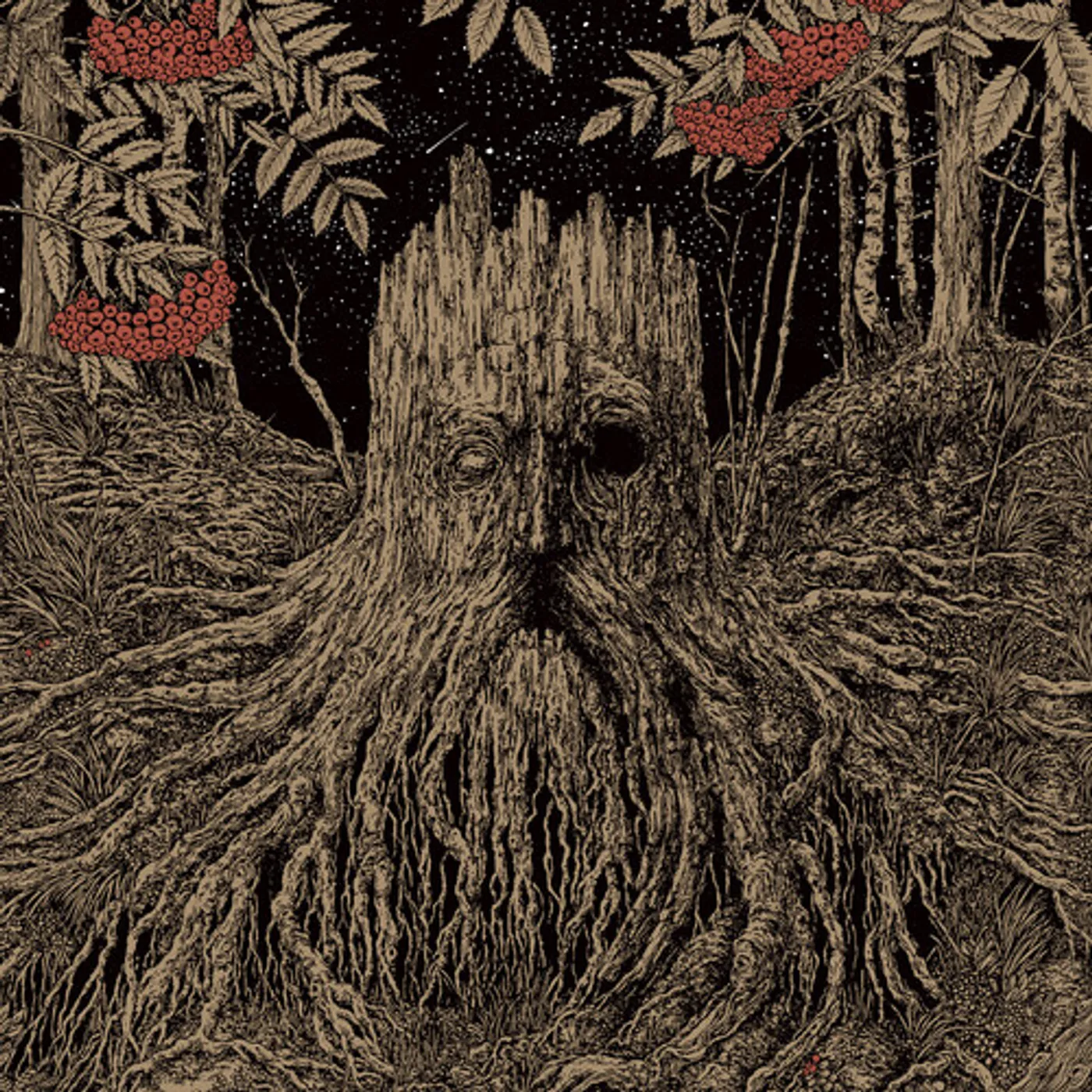 Olhava SACRIFICE Vinyl Record