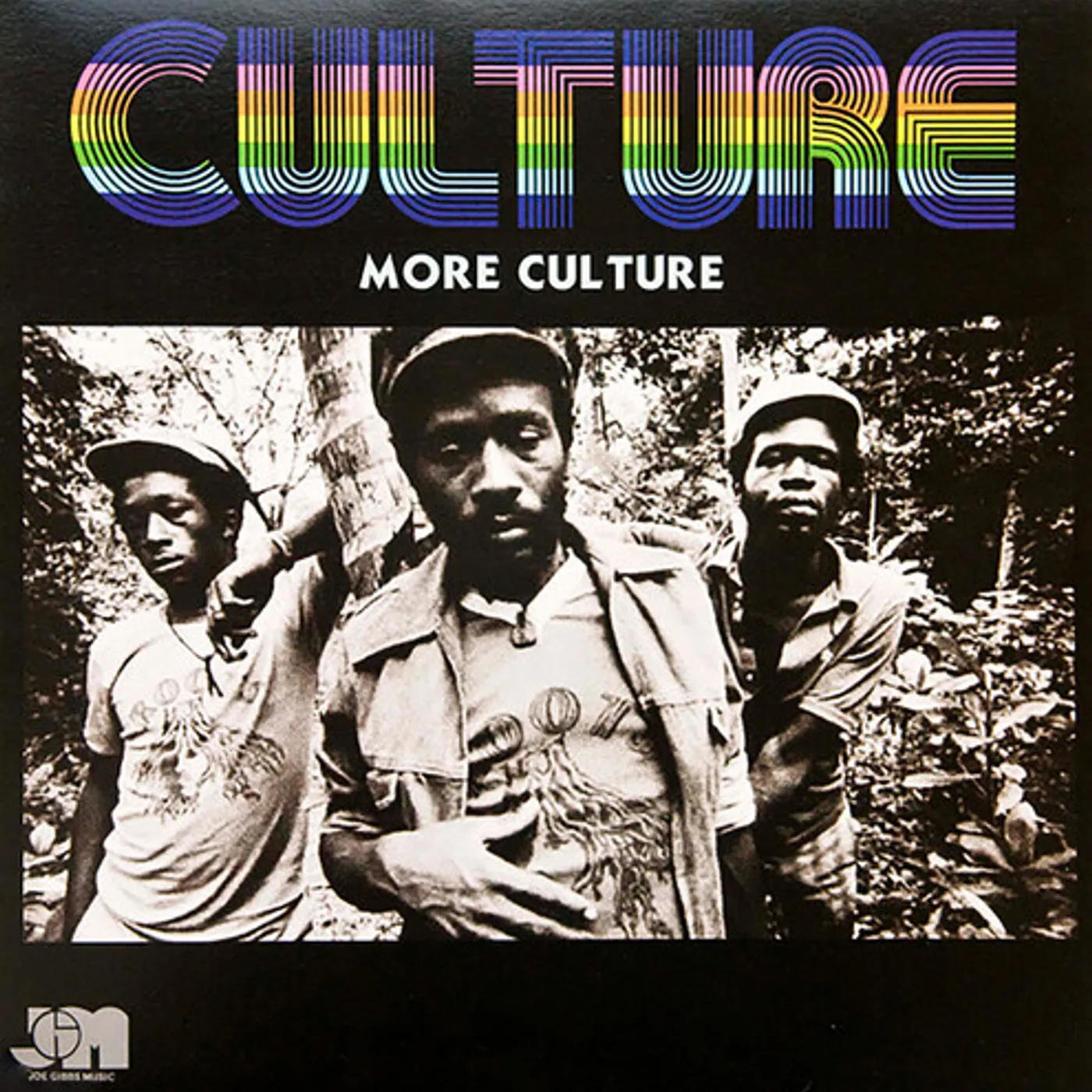 MORE CULTURE Vinyl Record