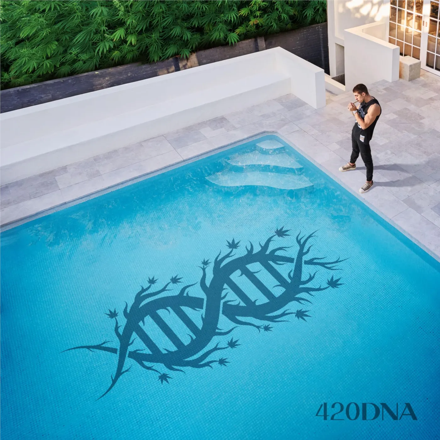 Chillinit 420DNA Vinyl Record