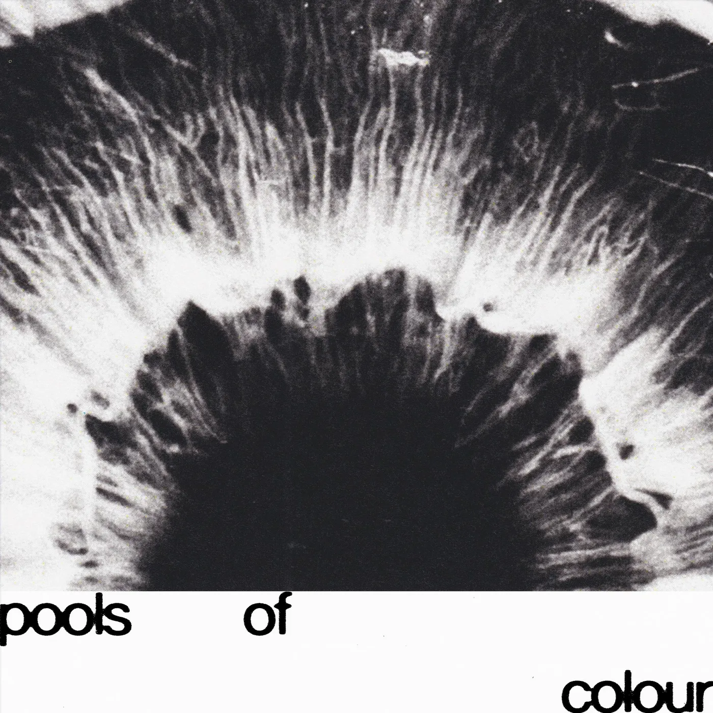 junodream POOLS OF COLOUR Vinyl Record