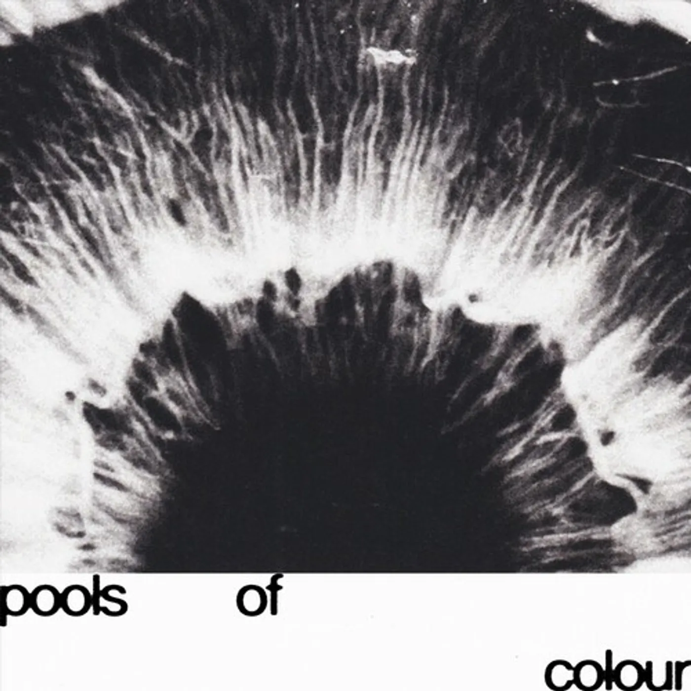 junodream POOLS OF COLOUR Vinyl Record