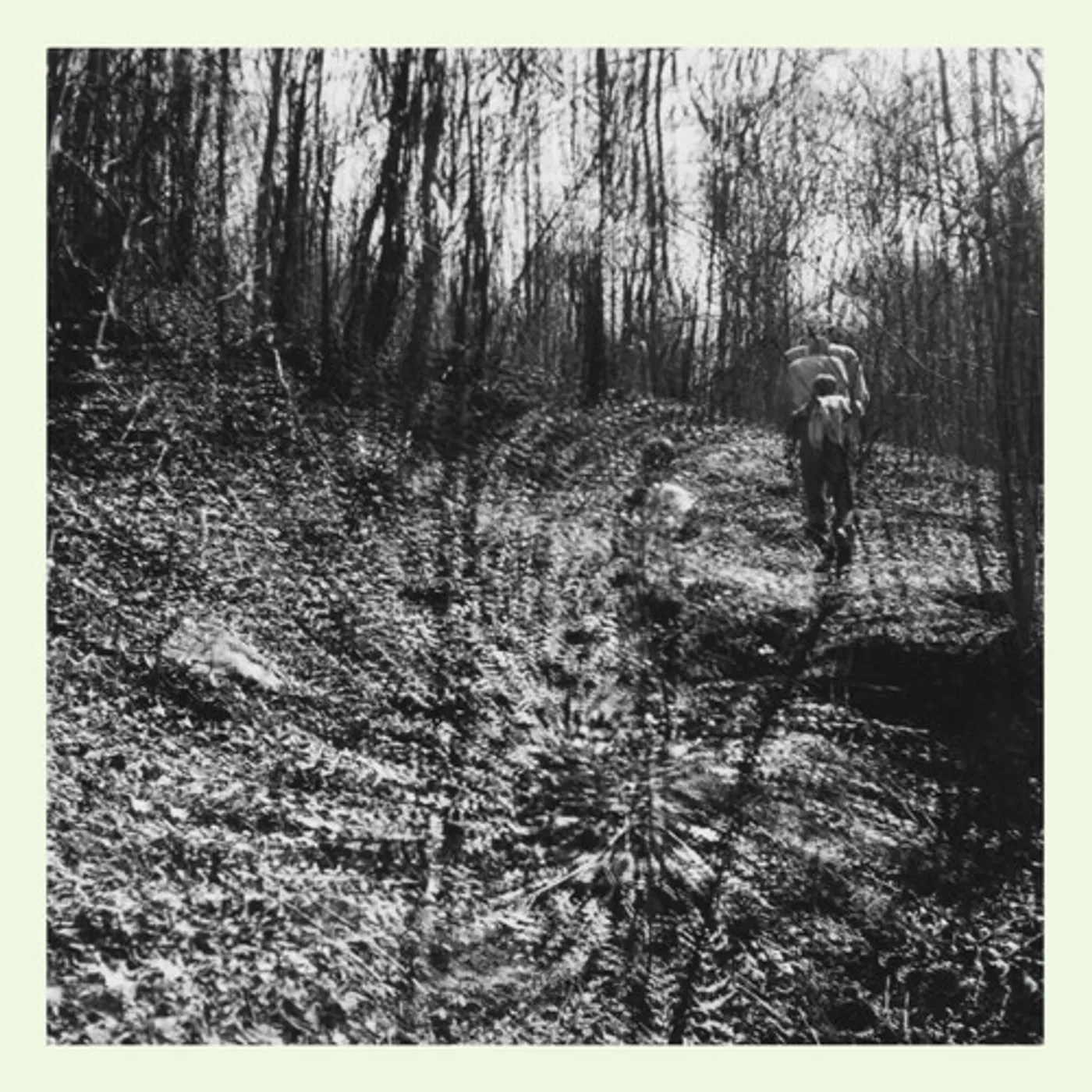 topographies Interior Spring Vinyl Record