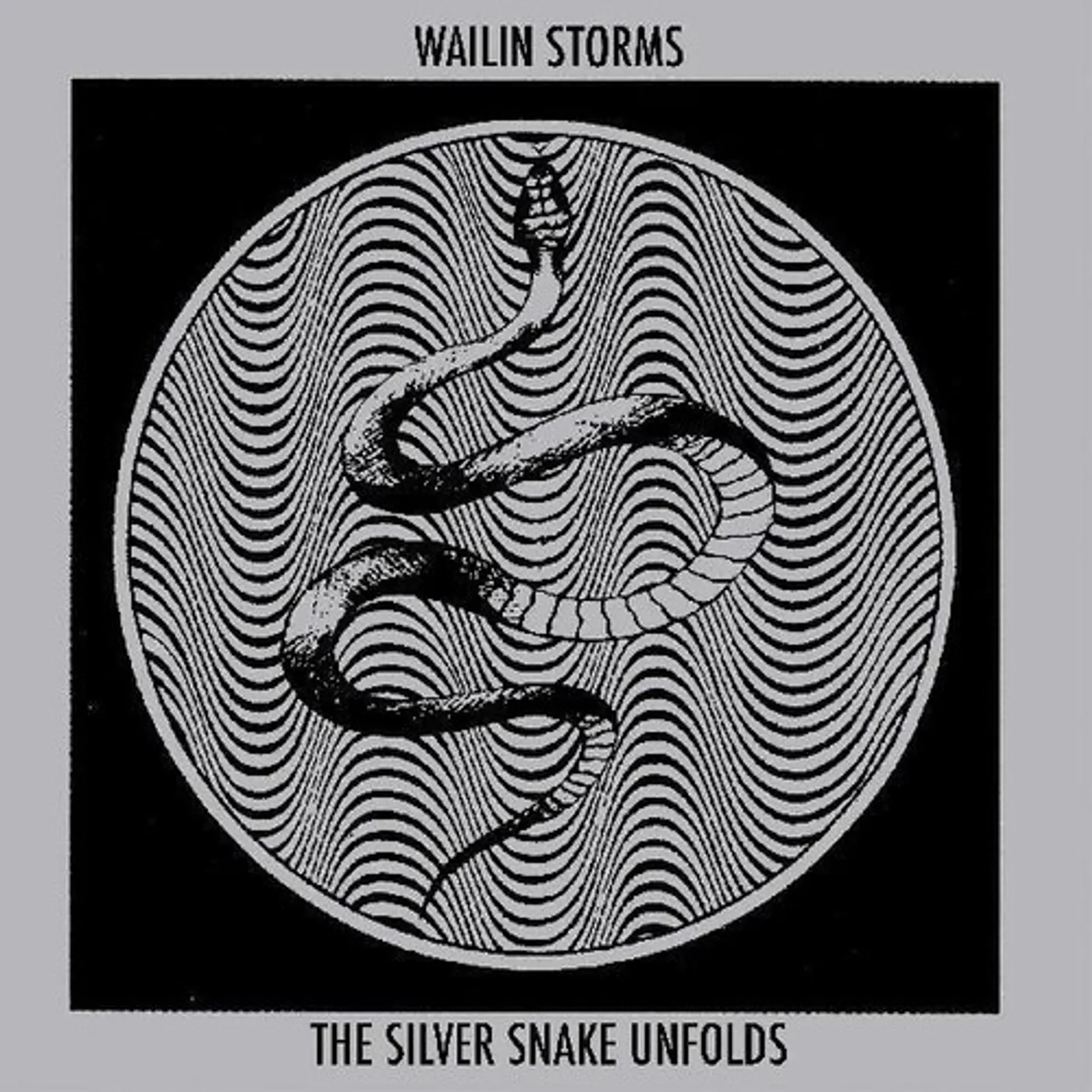 Wailin' Storms SILVER SNAKE UNFOLDS Vinyl Record