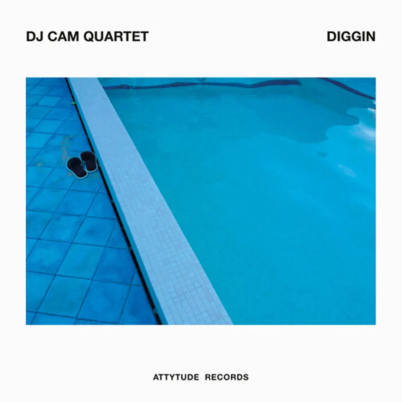 DJ Cam Diggin Vinyl Record