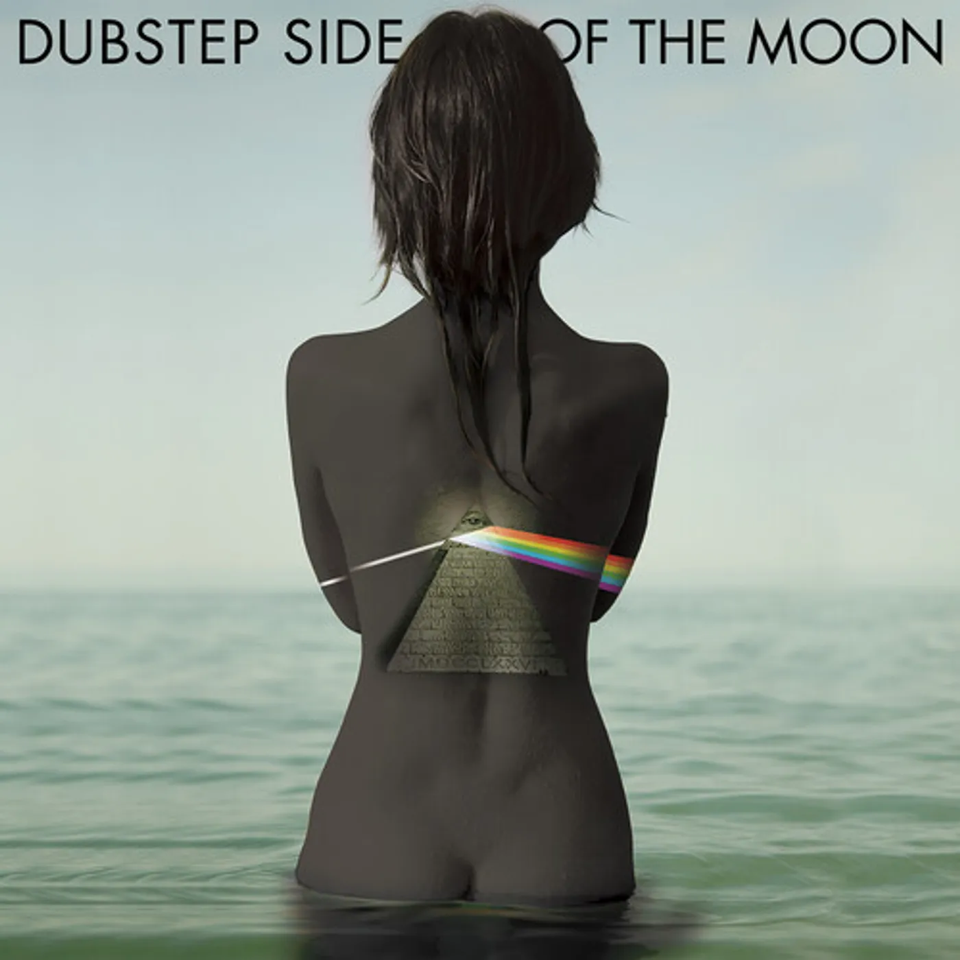 DUBSTEP SIDE OF THE MOON / VARIOUS Vinyl Record