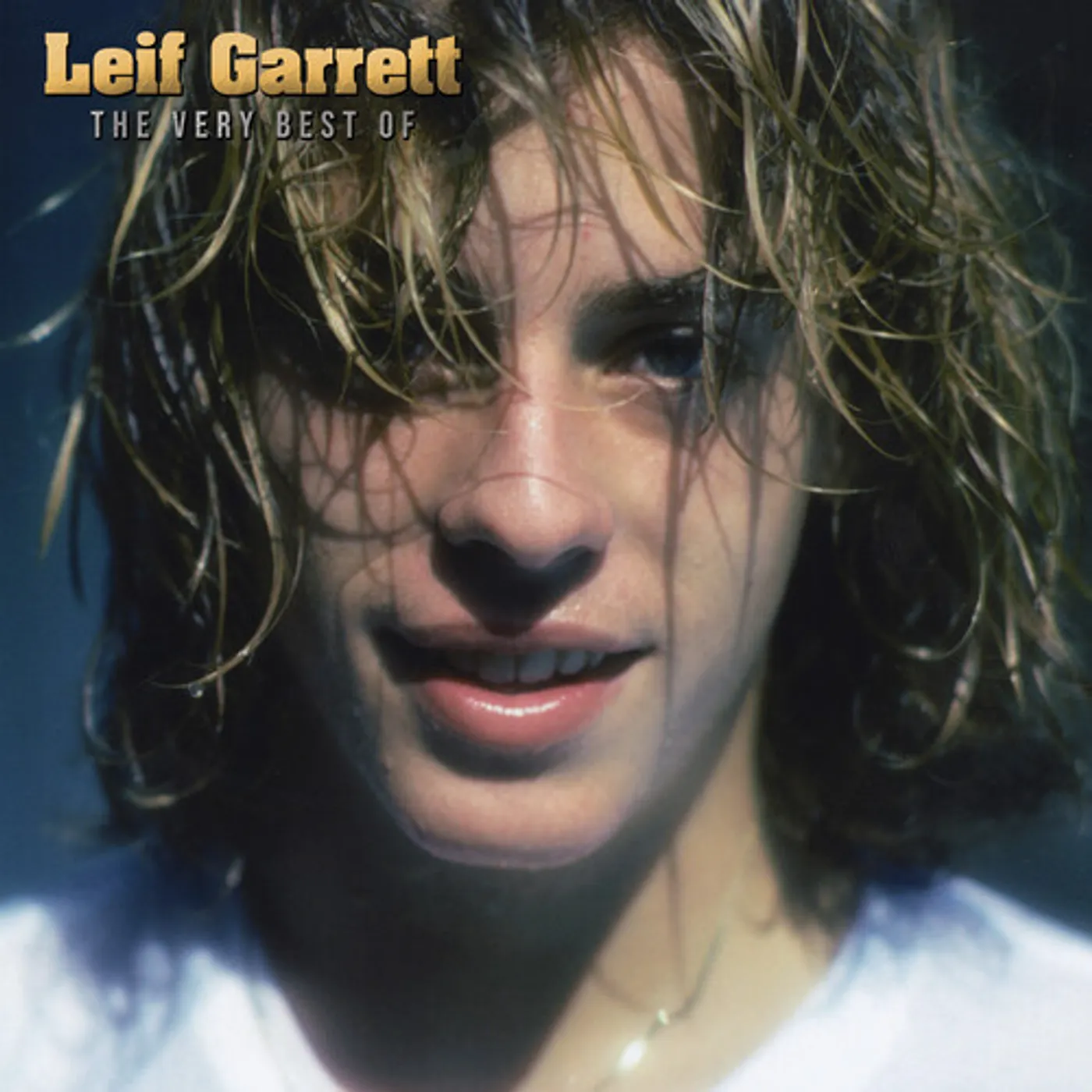 Leif Garrett Very Best Of - Blue Vinyl Record