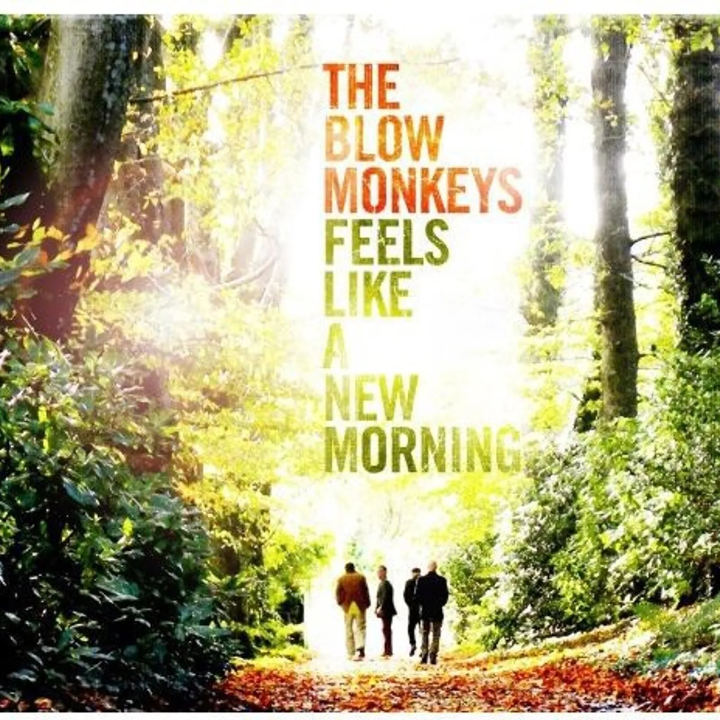 The Blow Monkeys FEELS LIKE A NEW MORNING CD