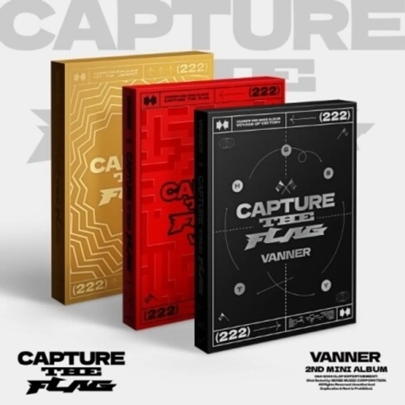VANNER CAPTURE THE FLAG CD