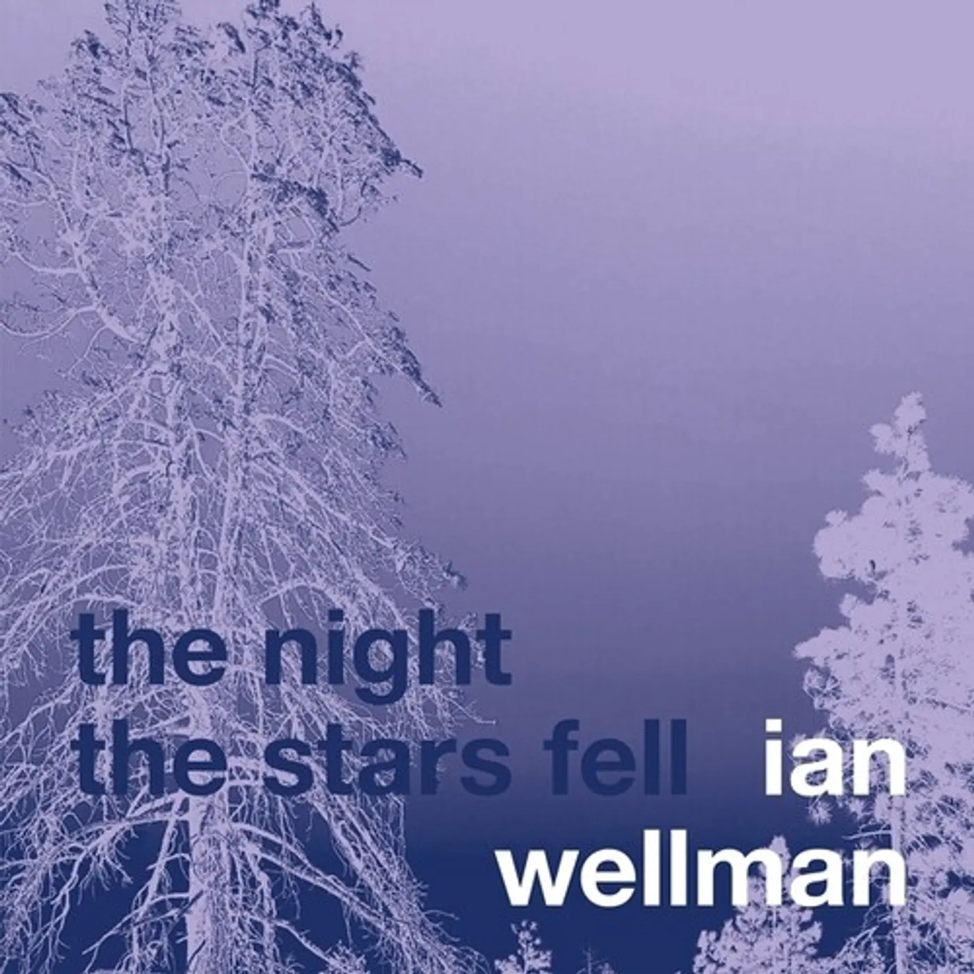 Ian Wellman NIGHT THE STARS FELL CD