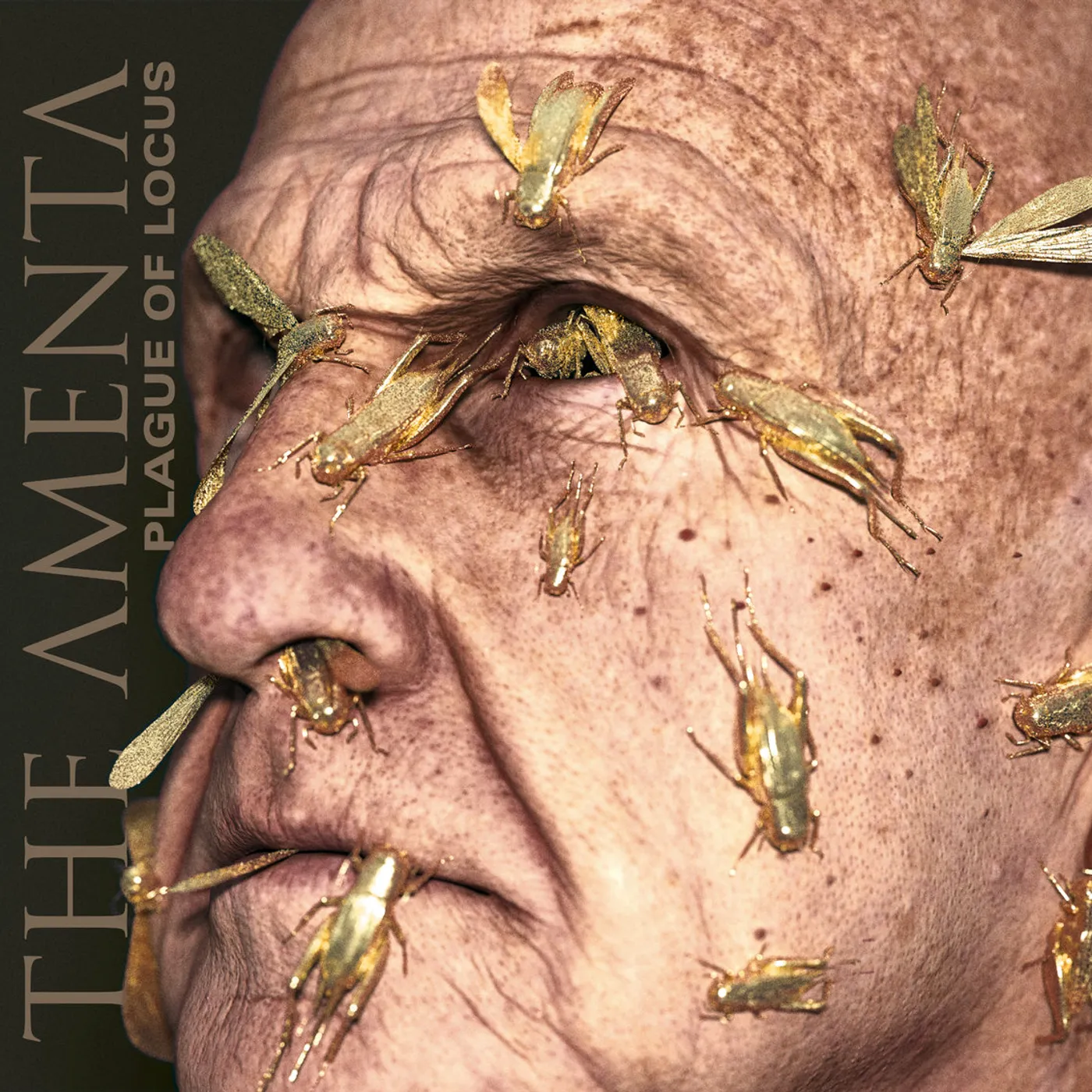 Amenta PLAGUE OF LOCUS Vinyl Record