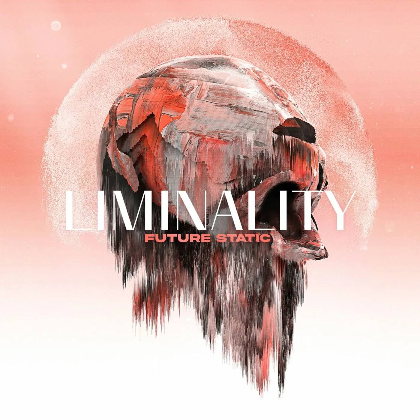 Future Static Liminality Vinyl Record