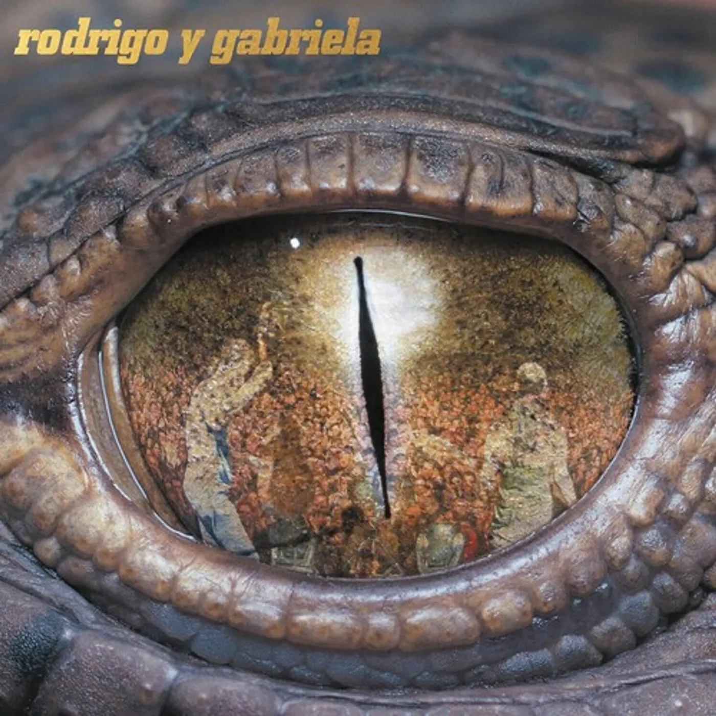 Rodrigo y Gabriela Vinyl Record