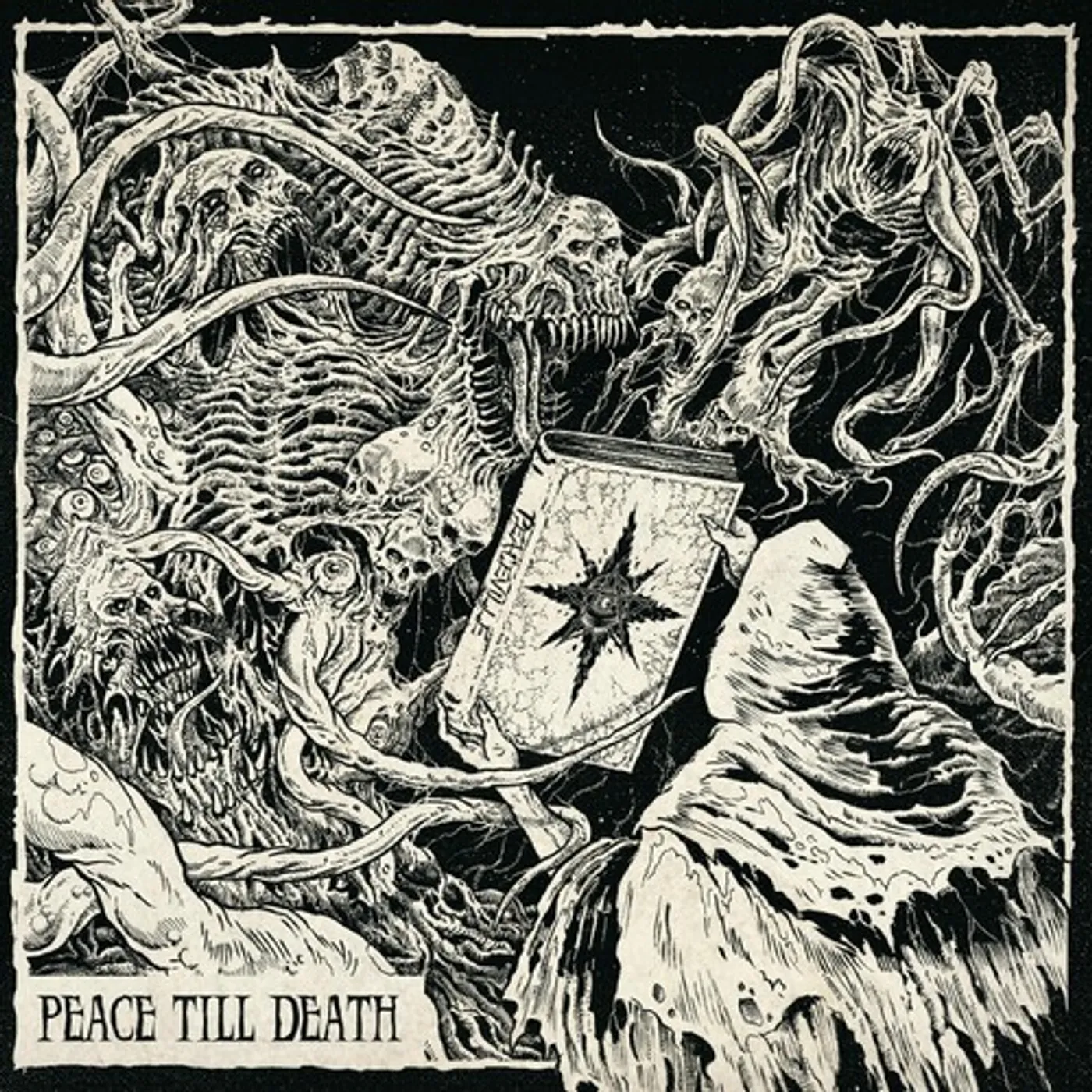 PEACE TILL DEATH / VARIOUS Vinyl Record
