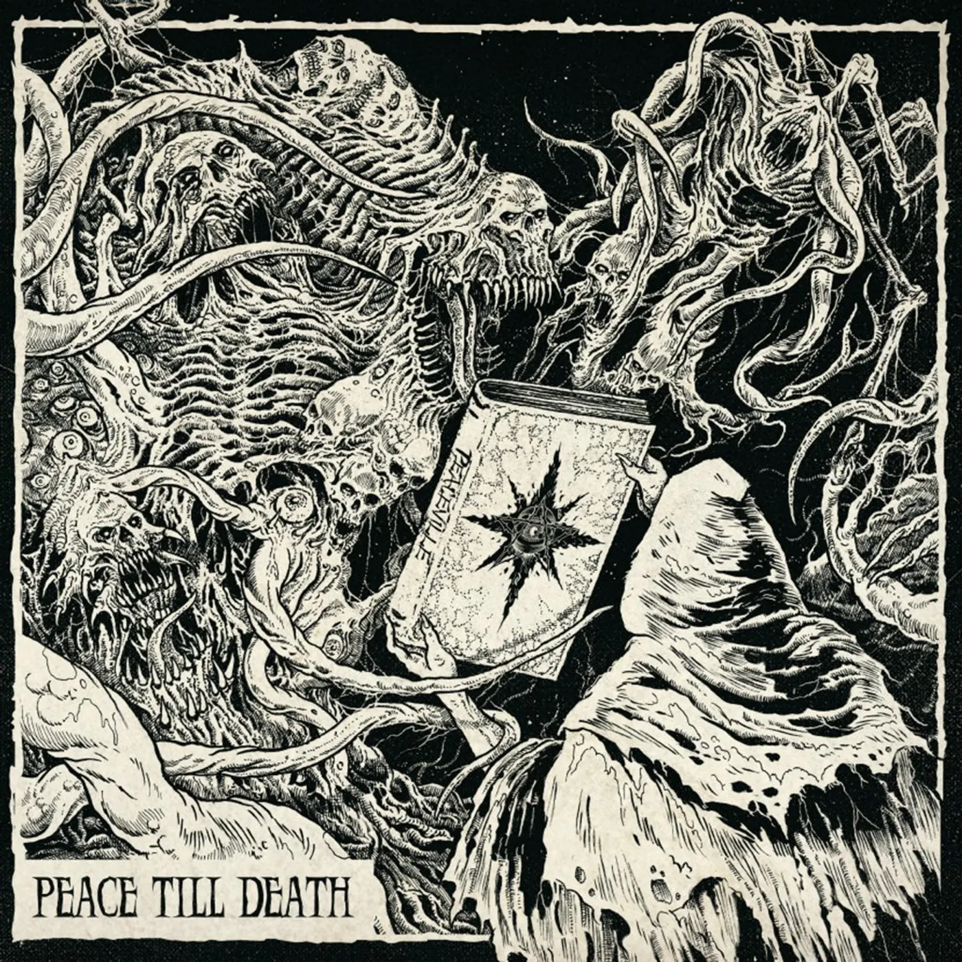 PEACE TILL DEATH / VARIOUS Vinyl Record