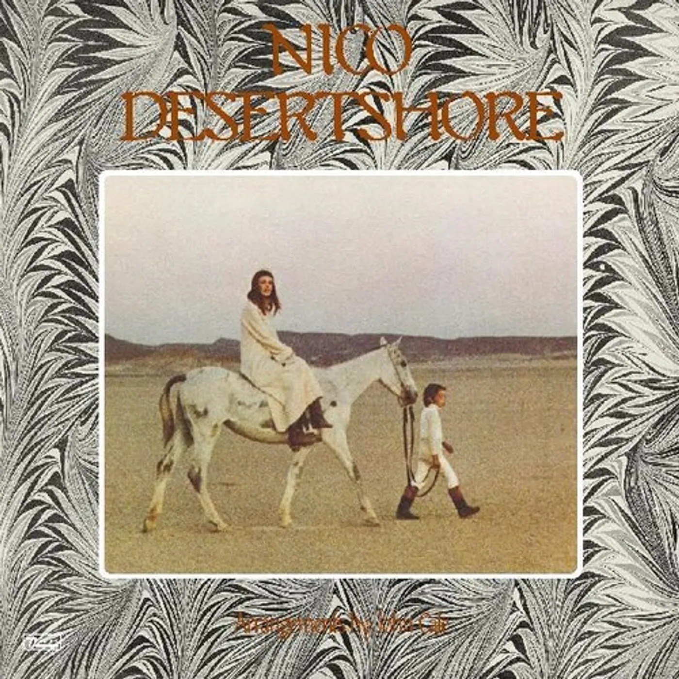 Nico Desertshore Vinyl Record