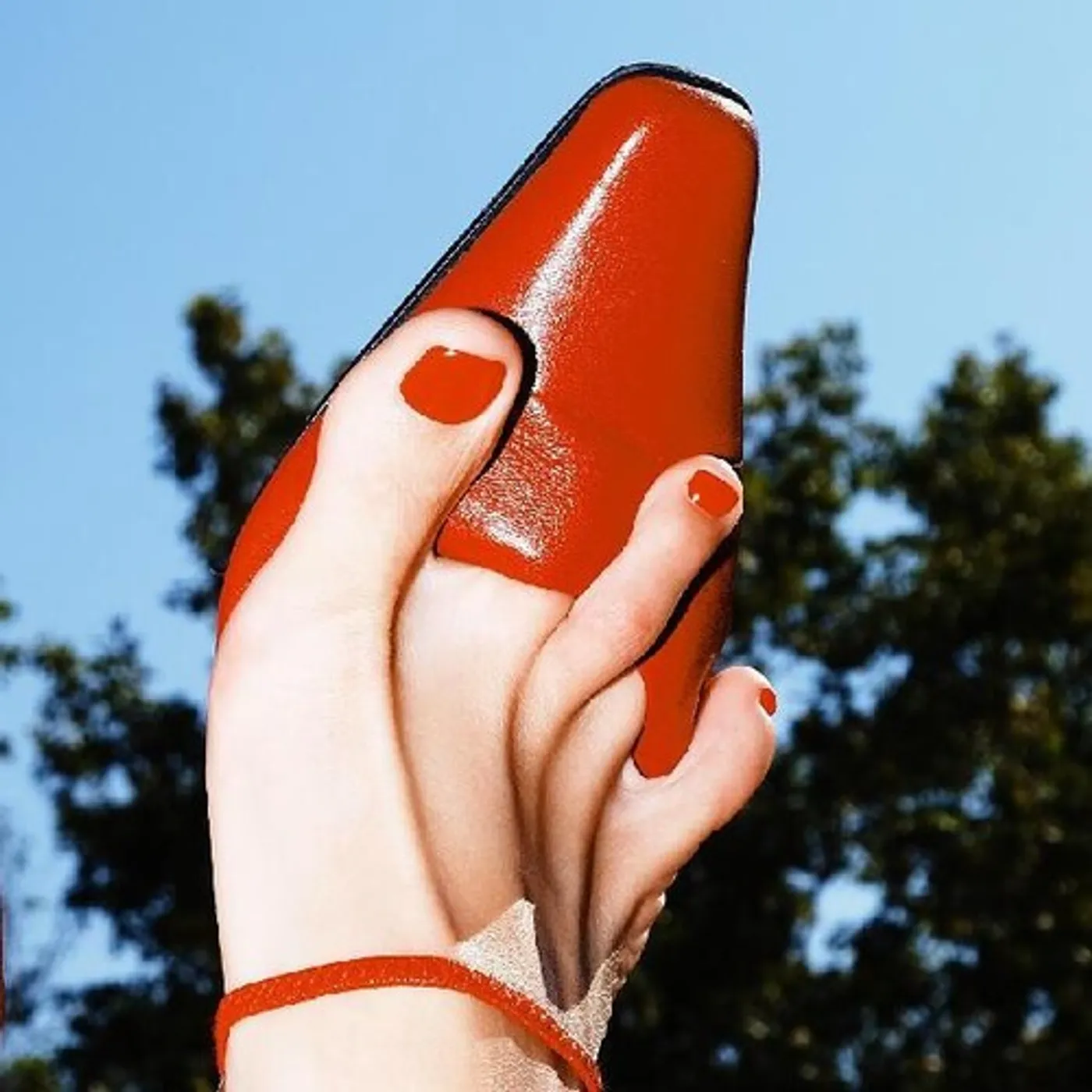 Kindsight NO SHAME NO FAME Vinyl Record