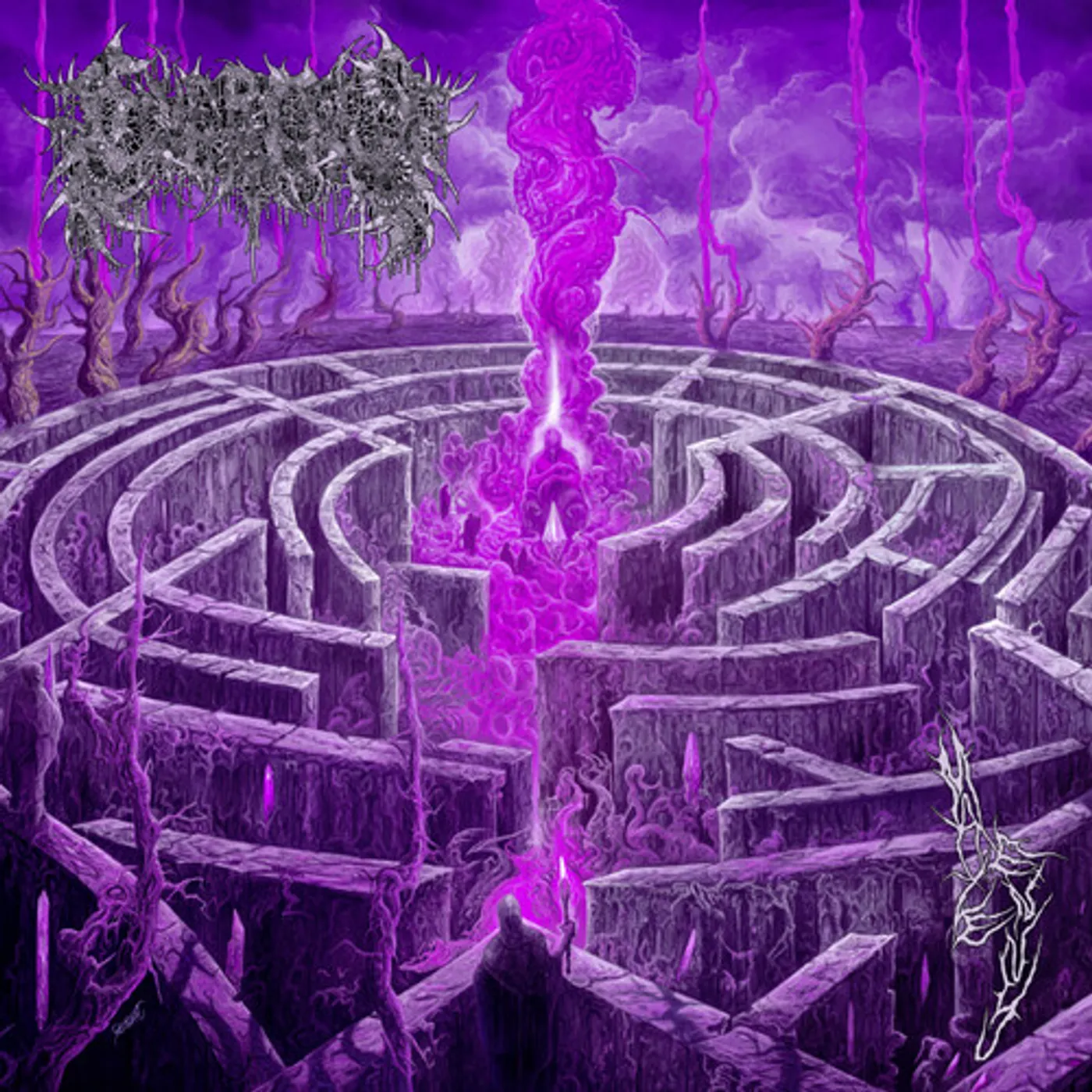 Civerous MAZE ENVY Vinyl Record