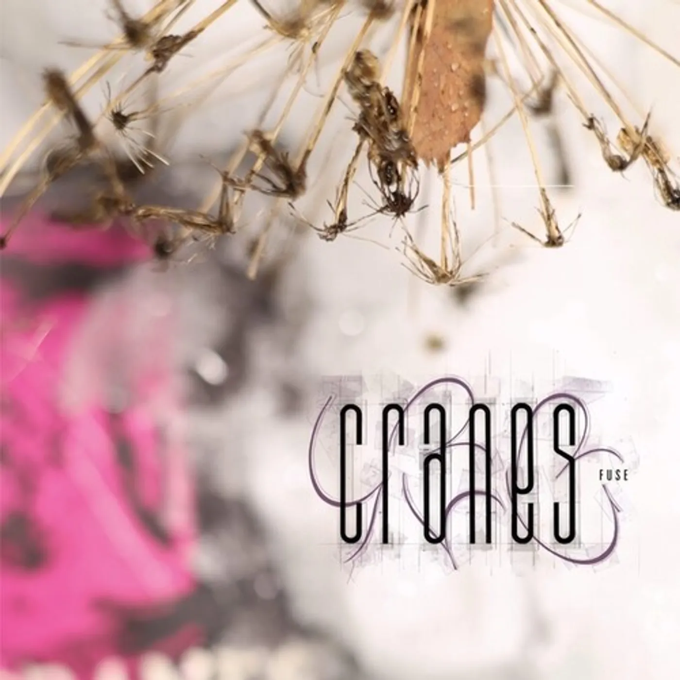 Cranes FUSE CD