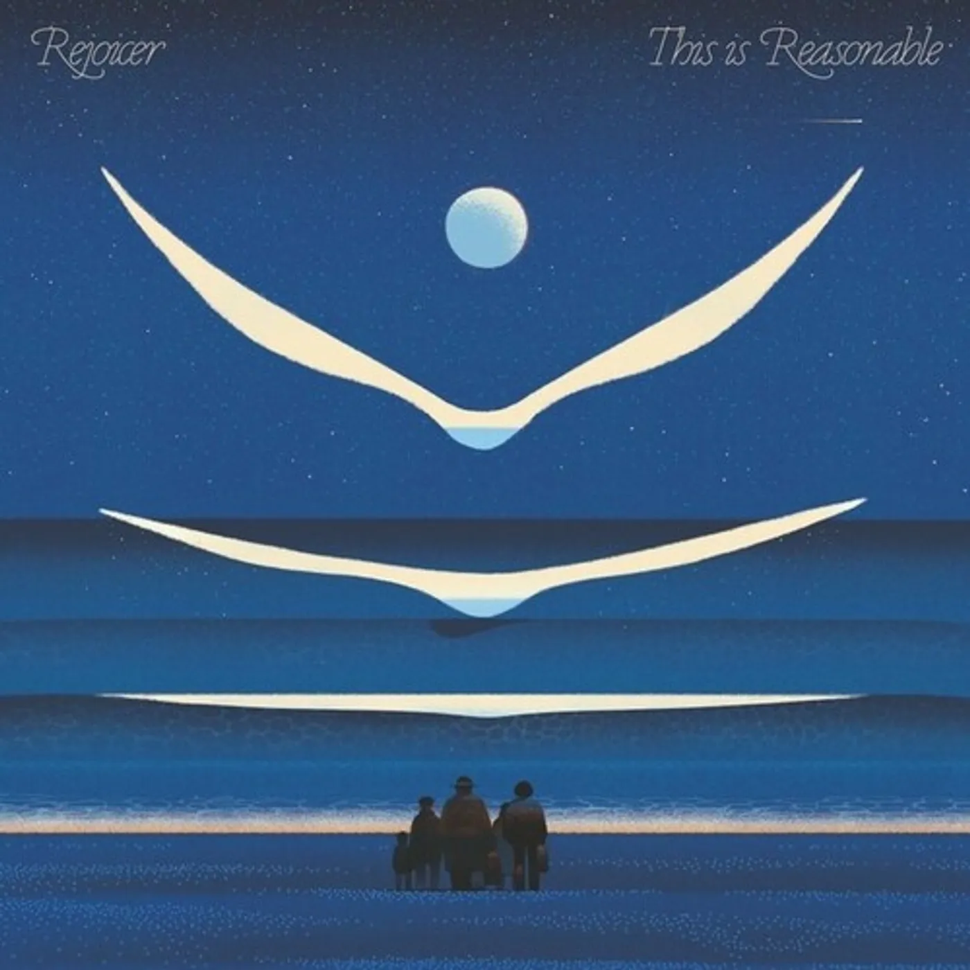 Rejoicer THIS IS REASONABLE Vinyl Record