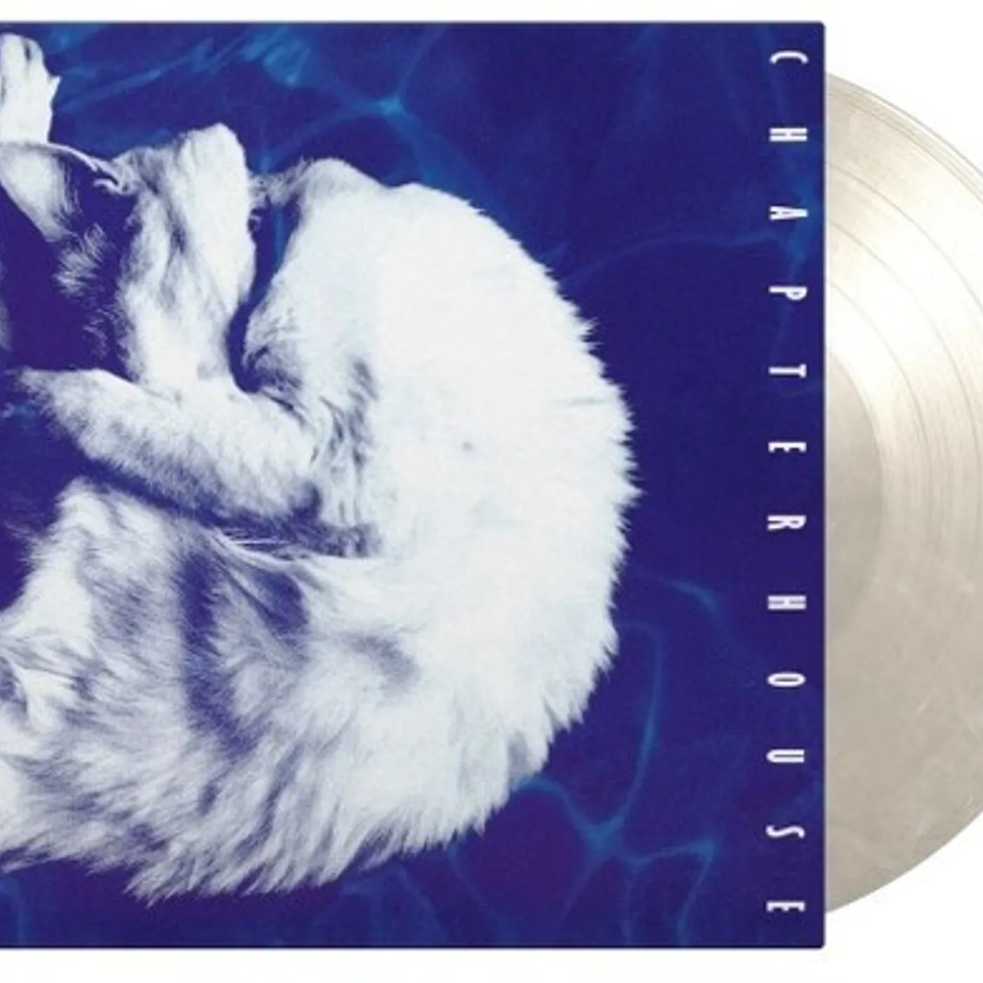 Chapterhouse WHIRLPOOL Vinyl Record