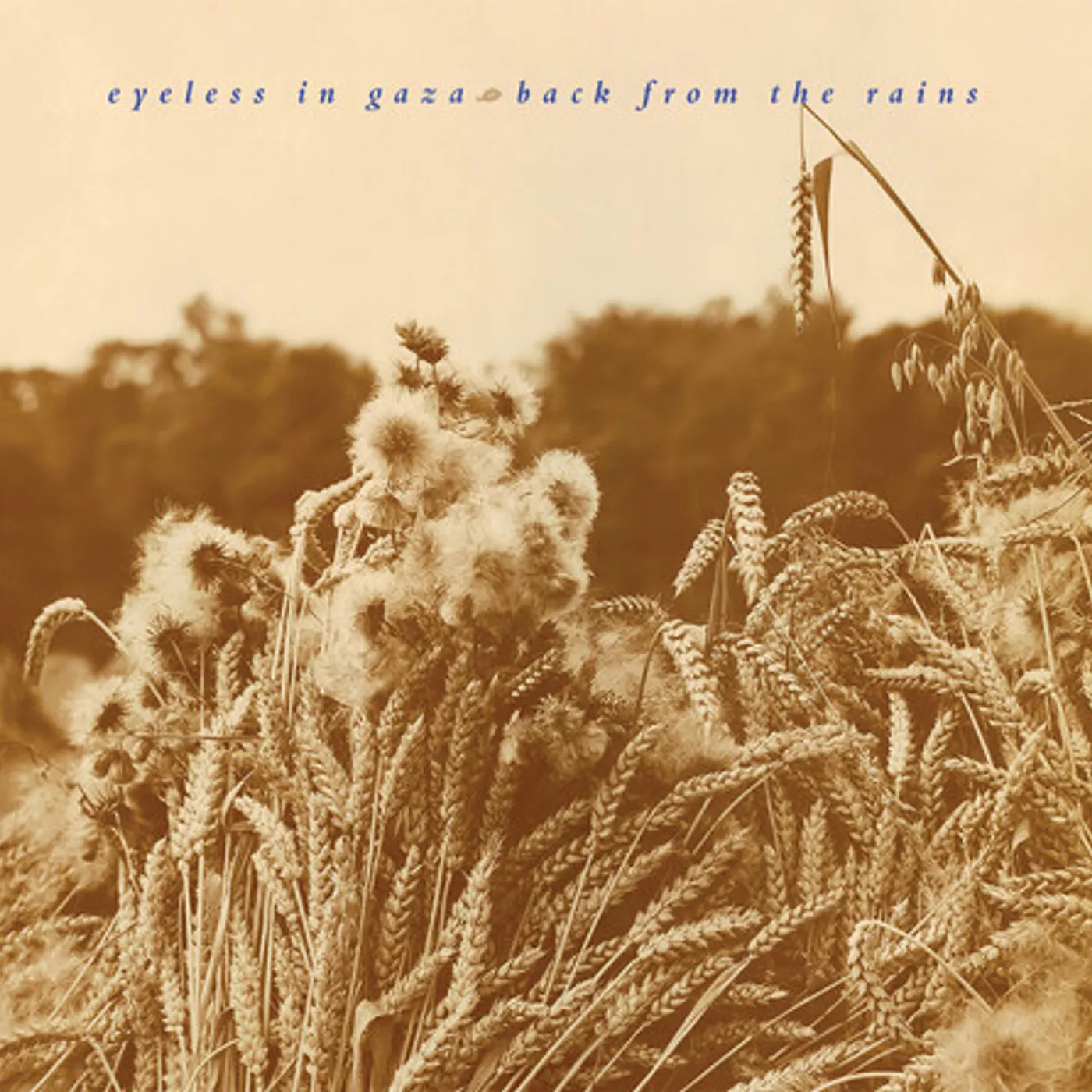 Eyeless In Gaza BACK FROM THE RAINS (2024 REMASTERED & EXPANDED) CD