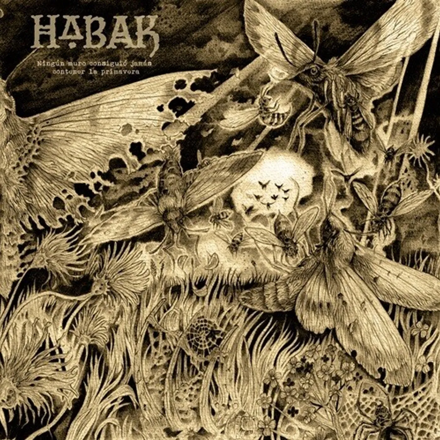 Habak NINGUN MURO CONSIGUIO JAMAS CONTENER LA PRIMAVERA CD