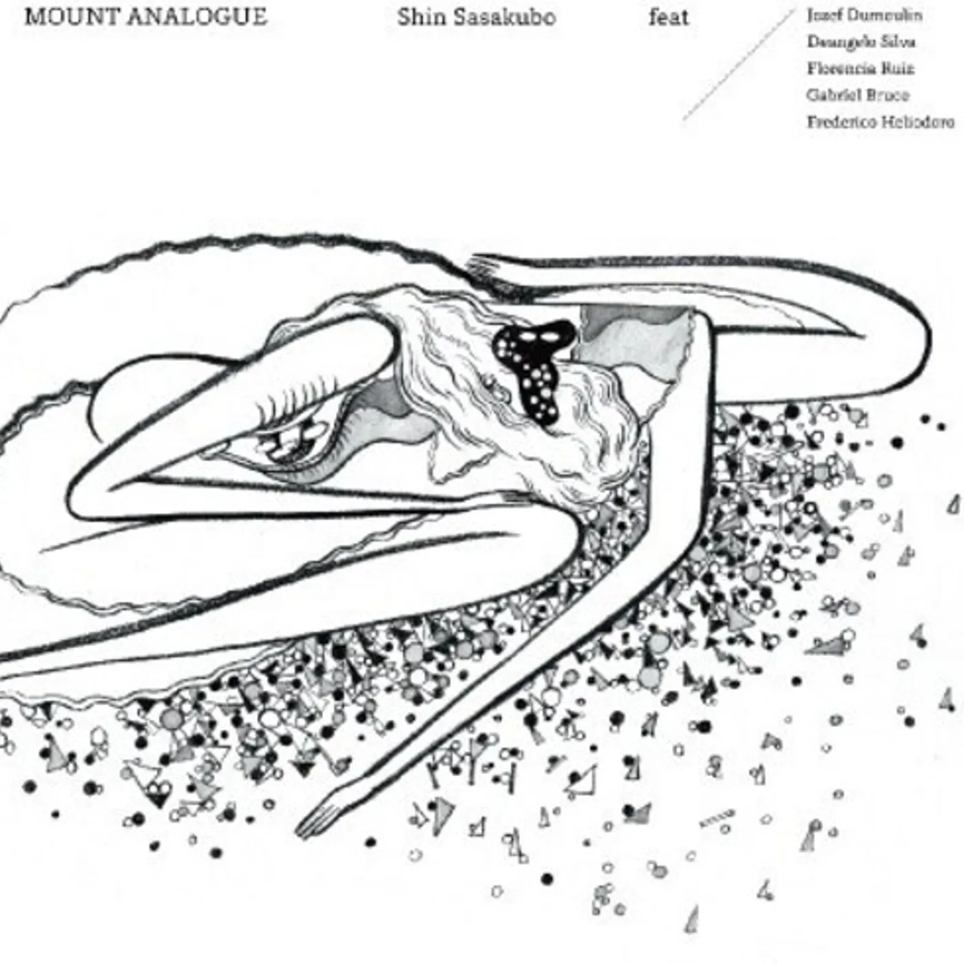 Shin Sasakubo Mount Analogue Vinyl Record