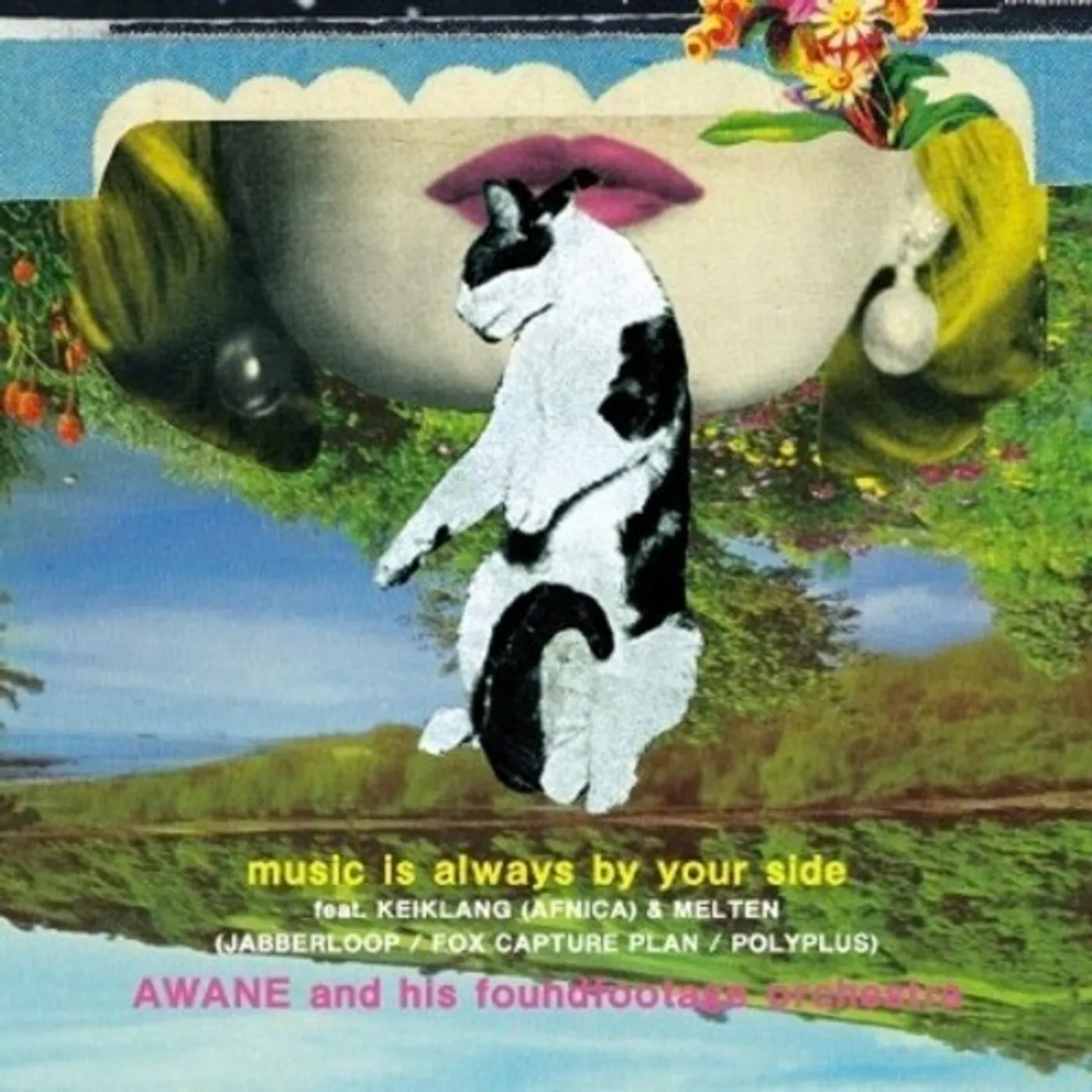 AWANE and his foundfootage orchestra Music Is Always By Your Side / Something About Us Vinyl Record