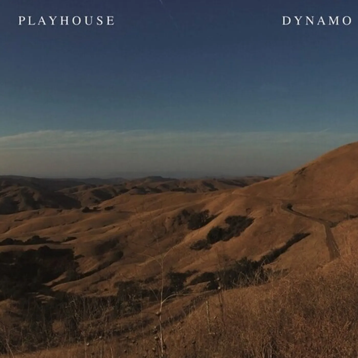 Playhouse DYNAMO Vinyl Record
