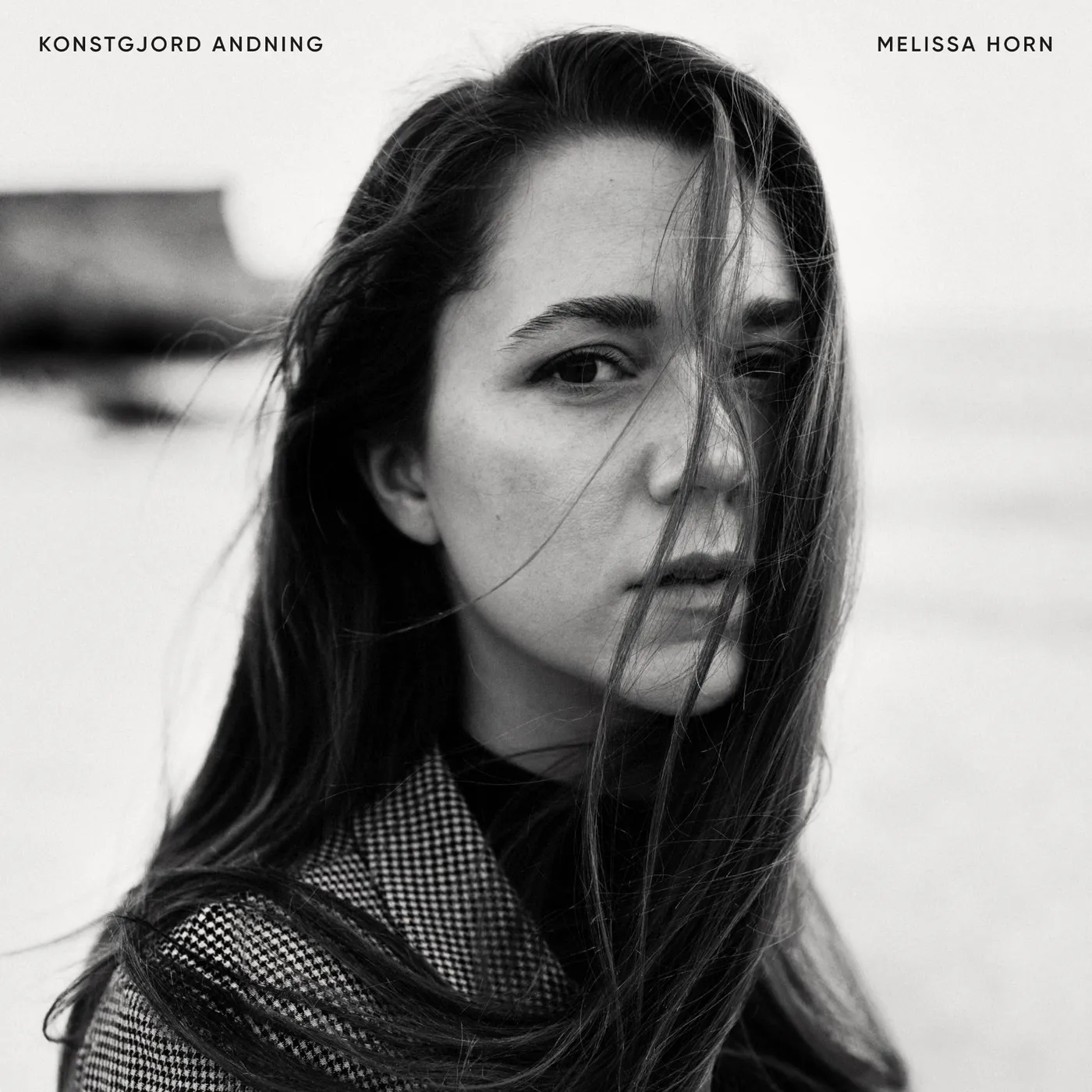 Melissa Horn  Konstgjord Andning Vinyl Record