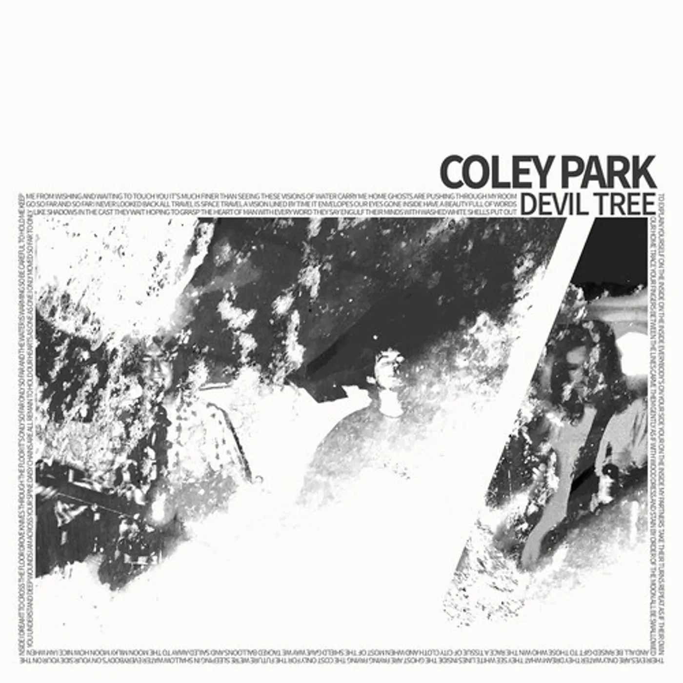 Coley Park DEVIL TREE - CLEAR VINYL Vinyl Record