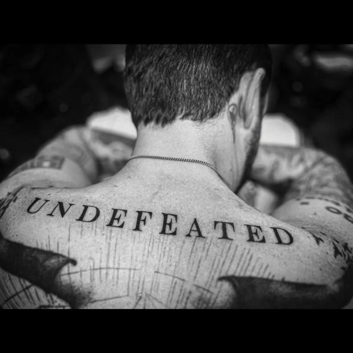 Frank Turner Undefeated Vinyl Record