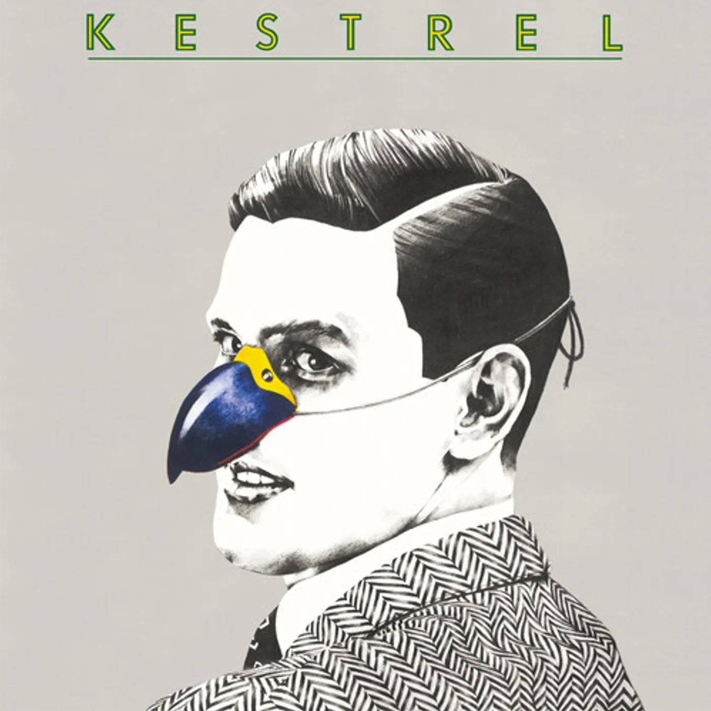 KESTREL - BLUE CLEAR Vinyl Record