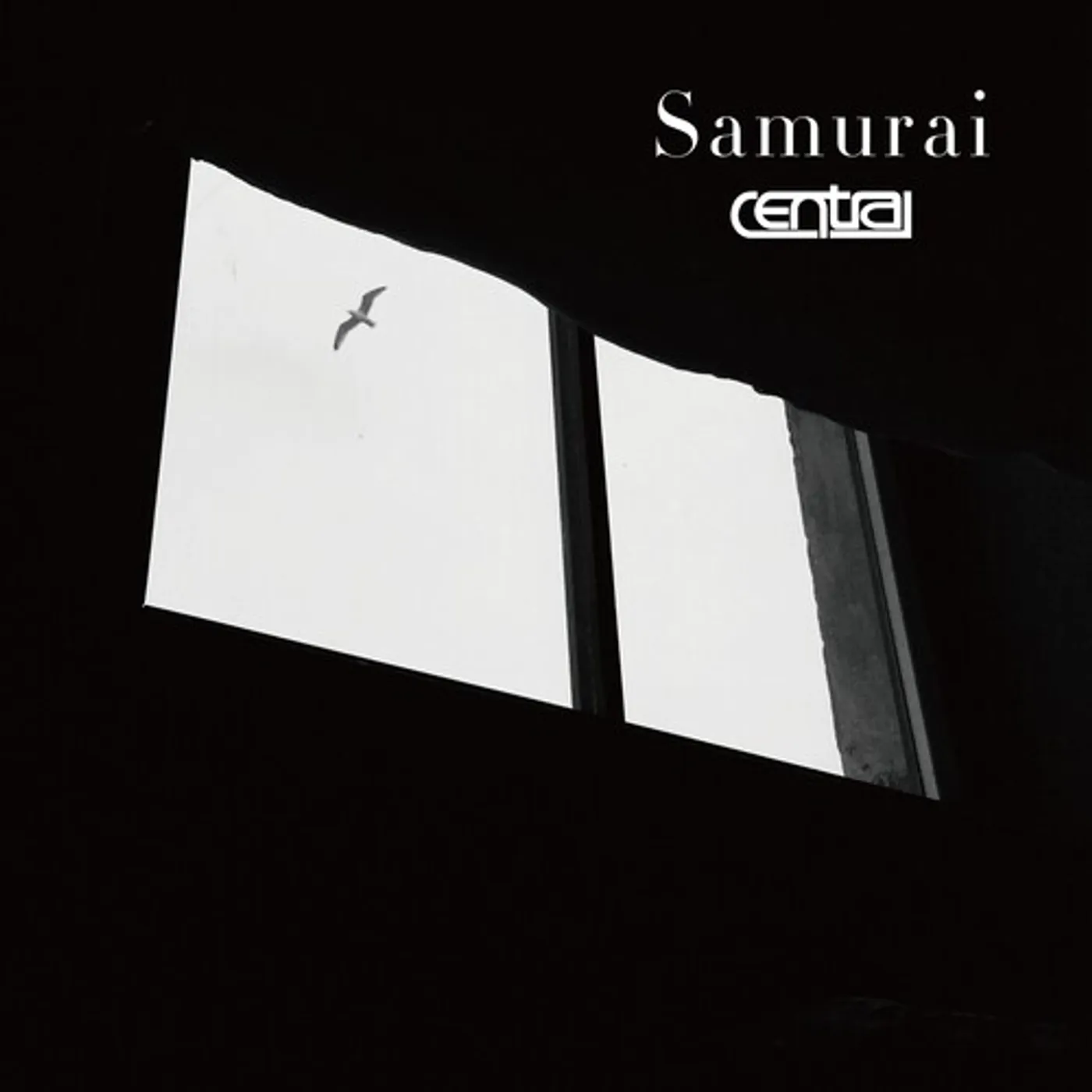 Central Samurai Vinyl Record