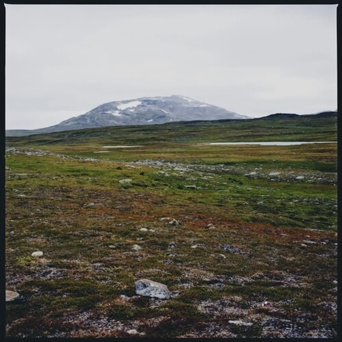 Gidge Tundra Vinyl Record