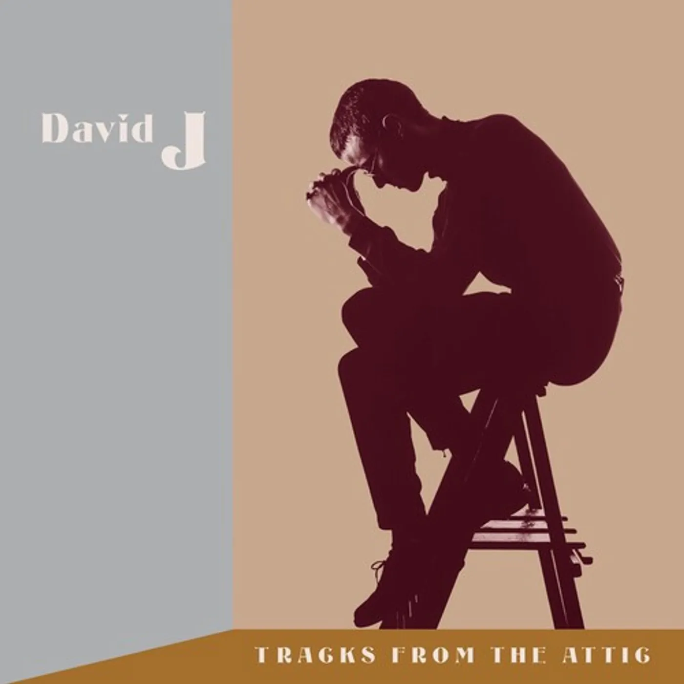 David J TRACKS FROM THE ATTIC CD