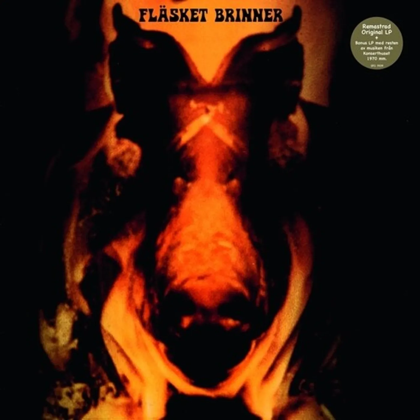  Flasket Brinner (2LP) Vinyl Record