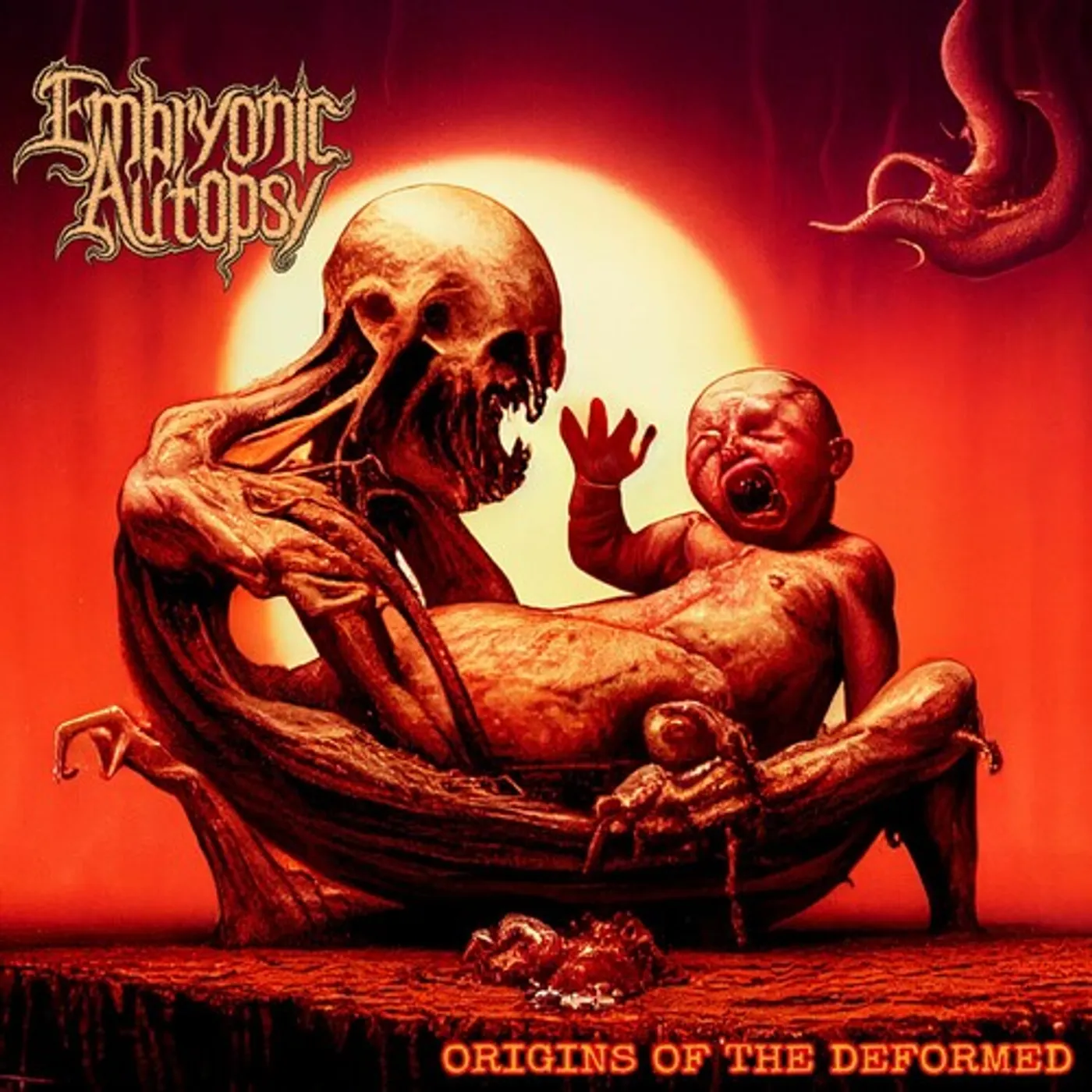 Embryonic Autopsy ORIGINS OF THE DEFORMED CD