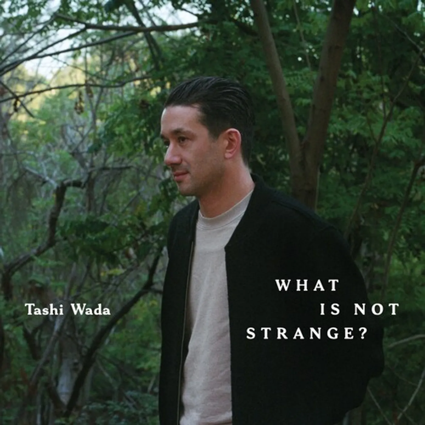 Tashi Wada What Is Not Strange Vinyl Record