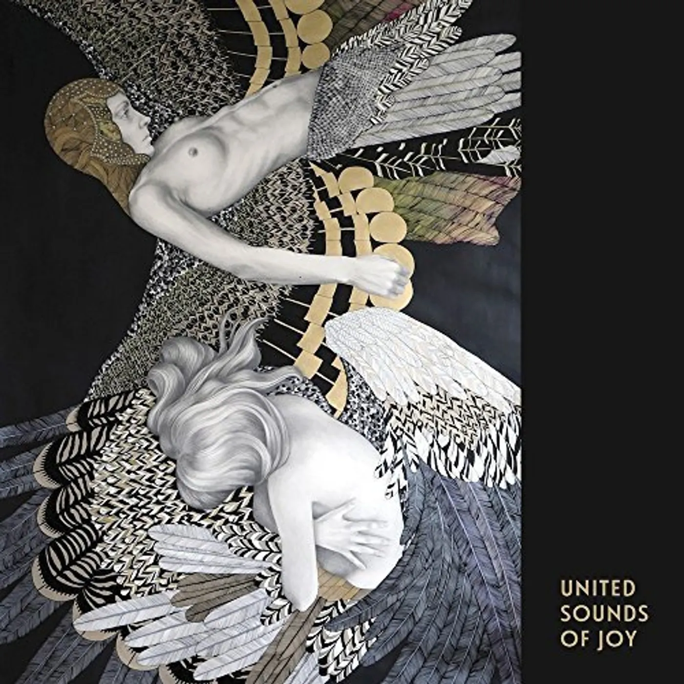 United Sounds of Joy Vinyl Record