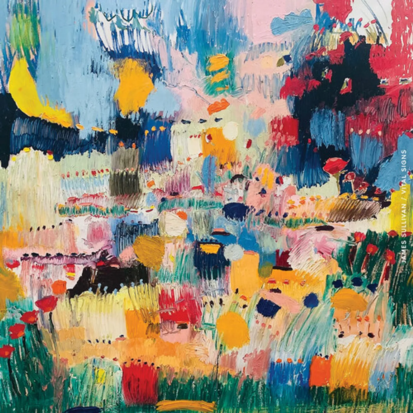 James Sullivan VITAL SIGNS CD